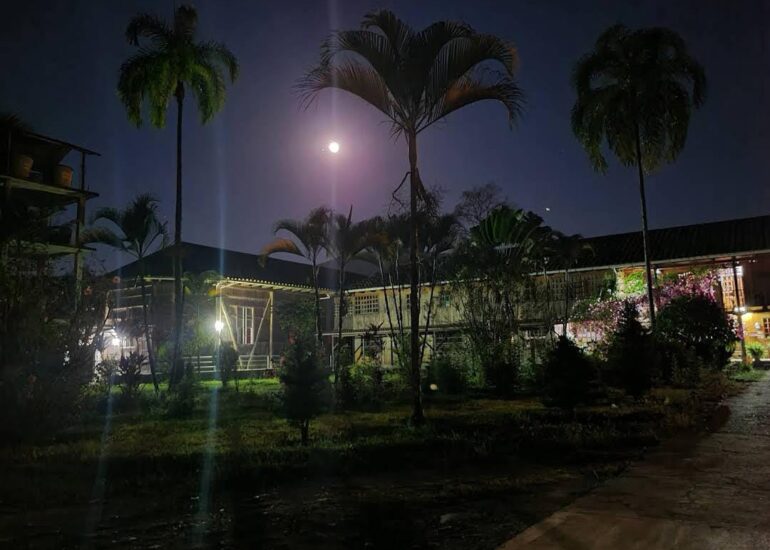 Imagen de WhatsApp 2025-03-13 a las 10.17.50_cf402293