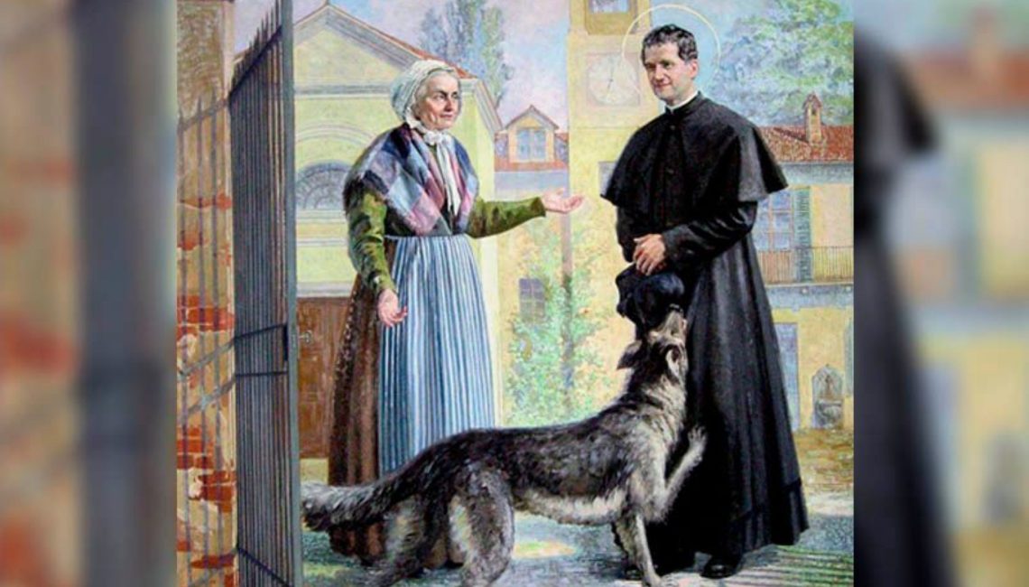 don-bosco-perro